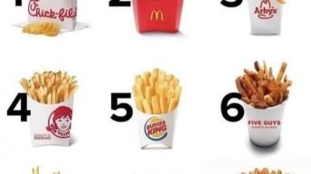 Which company has the best fries?