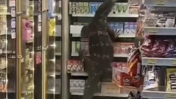 Lizard stops in 7-Eleven store