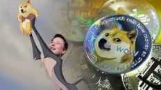 Elon Musk Doge coin to the moon meme