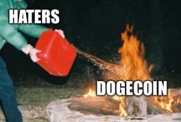 Haters vs dogecoin fire meme