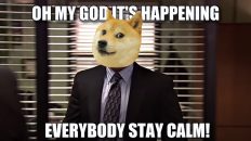 Oh my God it's happening everybody stay calm dogecoin meme