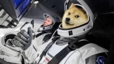 Elon Musk dogecoin to the moon meme