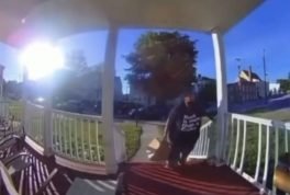 Dasher falls off porch while delivering food