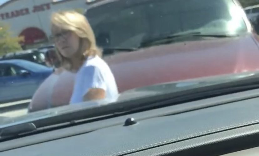 Karen confront man for driving on wrong side of parking lot