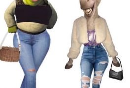 Shrek and Donkey as females meme