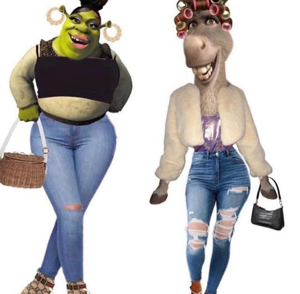 Shrek and Donkey as females meme