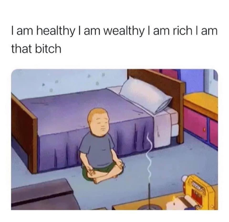 I am healthy I am wealthy I am rich I am that bitch Bobby Hill King of the Hill meme