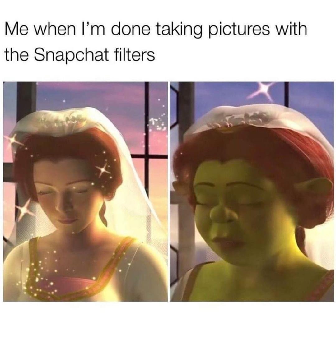 Me when I'm done taking pictures with the Snapchat filters Shrek meme