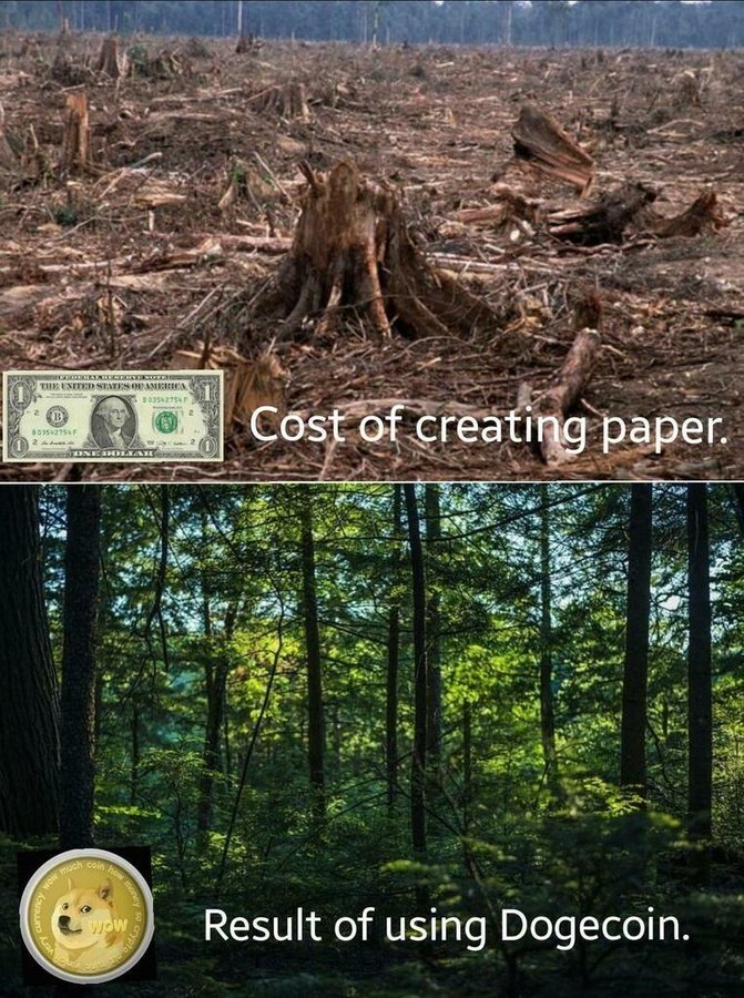Cost of creating paper vs result of using dogecoin meme