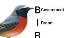 Yeah, I'm a bird government drone meme
