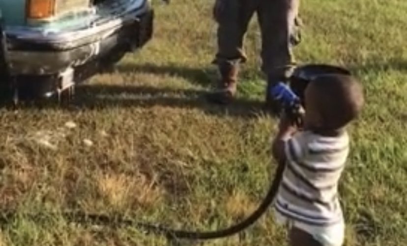 Baby helps grandpa wash truck