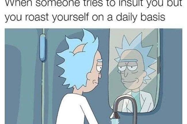 When someone tries to insult you but you roast yourself on a daily basis Rick and Morty meme