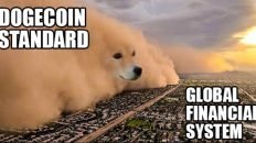 Dogecoin standard vs global financial system meme