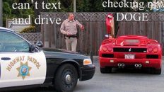 Sir, you can't text and drive. Oh sorry, I was checking my DOGE meme