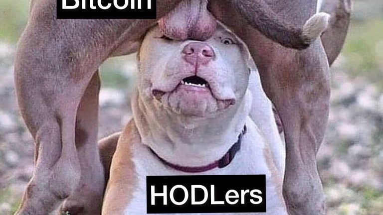 Bitcoin tbagging HODLers meme