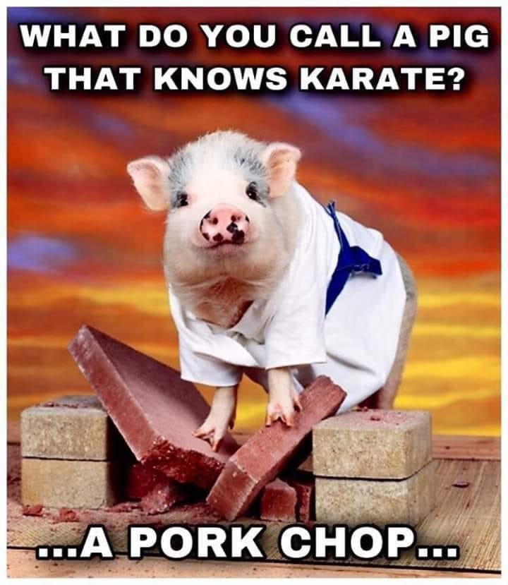 What do you call a pig that knows karate? A pork chop meme