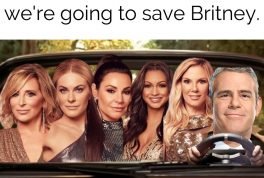 Get in housewives, we're going to save Britney meme