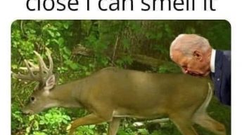 Deer season is so close I can smell it Joe Biden meme