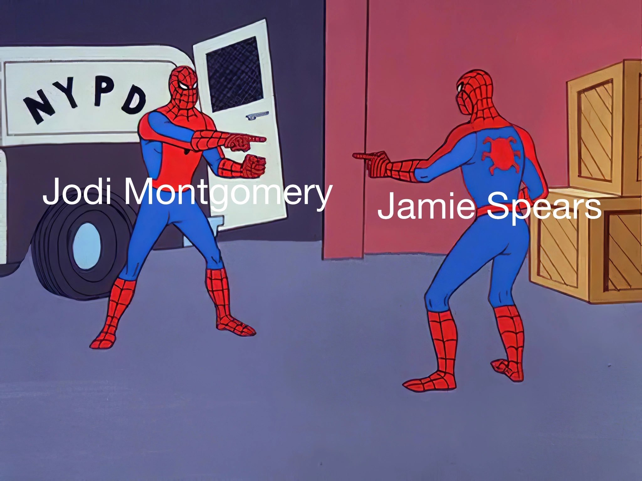 Jamie Spears vs Jodi Montgomery Britney Spears conservatorship meme