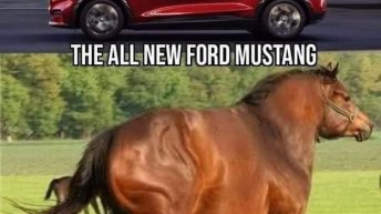 The all new Ford Mustang meme