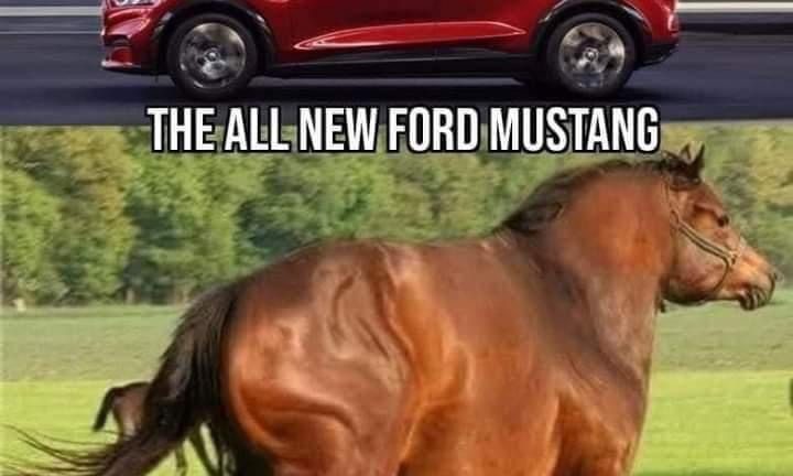 The all new Ford Mustang meme