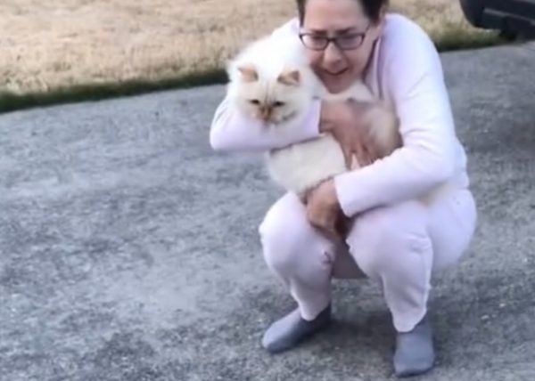 Angry cat hits woman while on walk