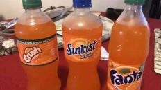 When y'all got the same mom but different dads orange soda meme