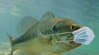 Finally found out why the fish weren't biting COVID mask meme