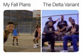 My fall plans vs the delta variant Fresh Prince meme
