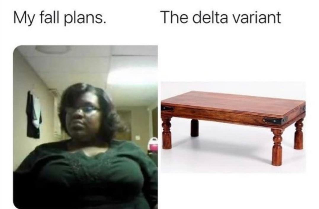My fall plans vs the delta variant Scarlet takes a tumble meme