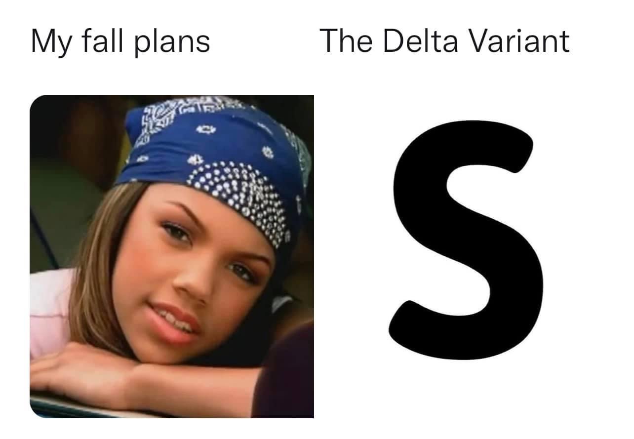 My fall plans vs the delta variant Kiely Williams meme