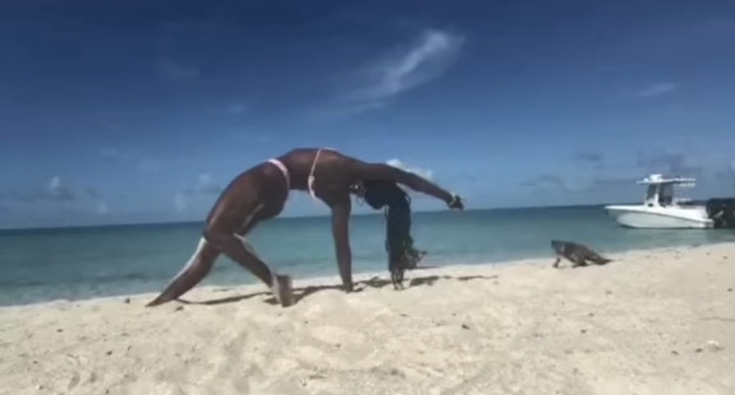 Woman gets bit by iguana on the beach