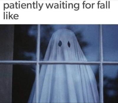 Patiently waiting for fall like meme