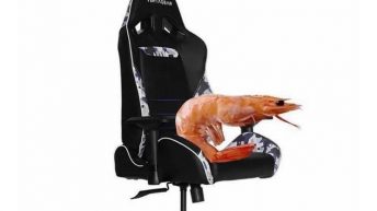 My back hurts so bad today me all day shrimp gaming chair meme