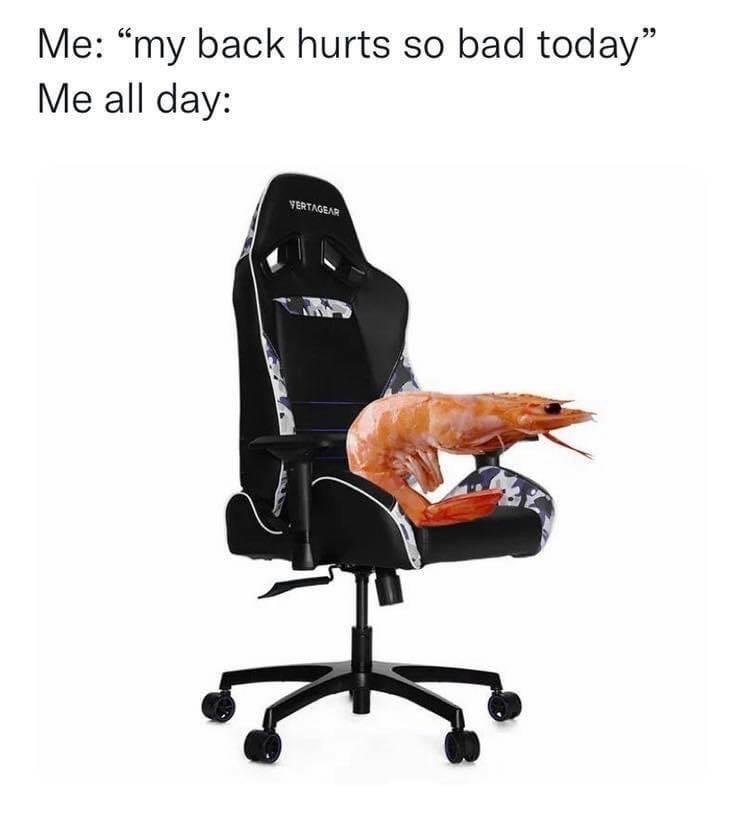 My back hurts so bad today me all day shrimp gaming chair meme