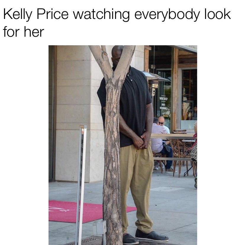 Kelly Price watching everybody look for her Shaq behind tree meme
