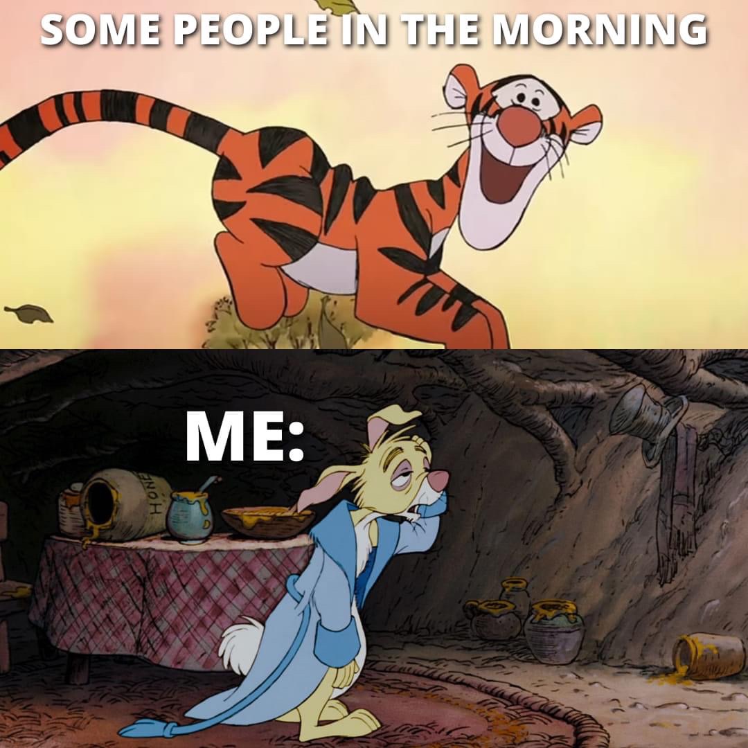 Some people in the morning vs me sleepy meme