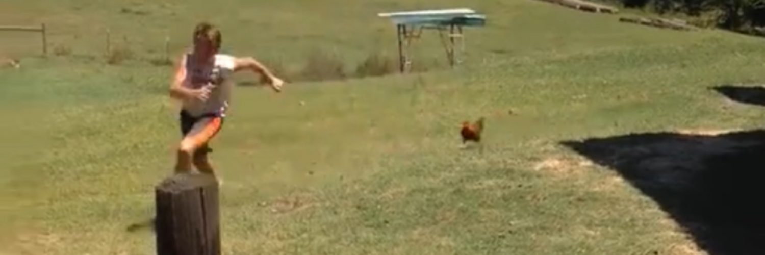Boy gets chased by chicken
