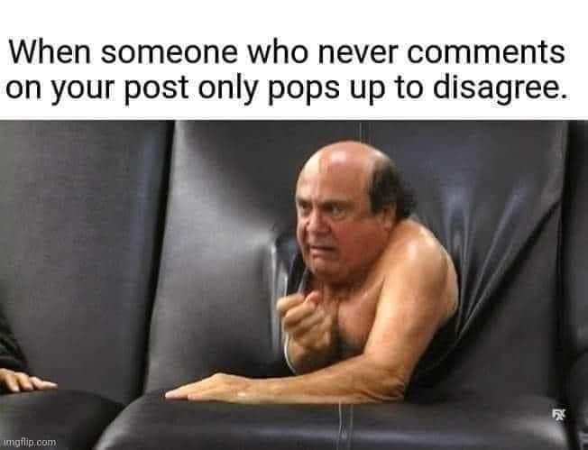 When someone who never comments on your post only pops up to disagree meme