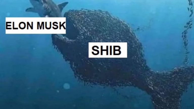 Elon Musk vs Shib Inu meme