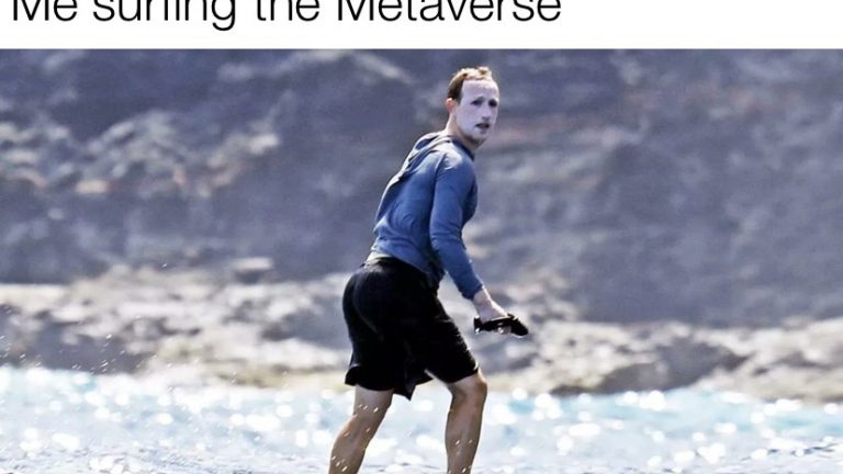 Me surfing the Metaverse meme