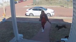 Dog trips woman while she attempts to run away