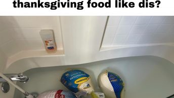 Bro anyone else defrost their Thanksgiving food like this meme