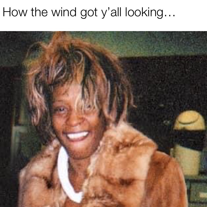 How the wind got y'all looking Whitney Houston meme
