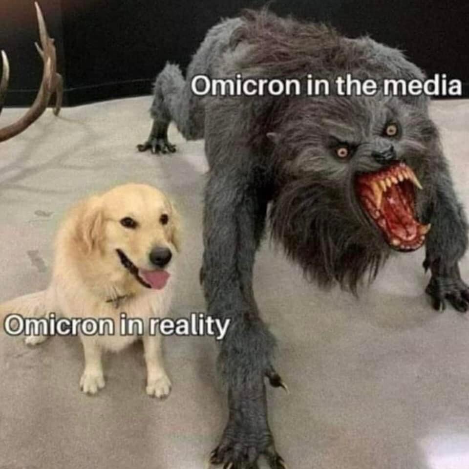 Omicron in the media vs Omicron in reality meme