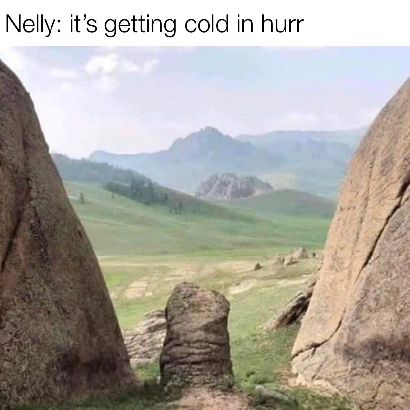 Nelly it's getting cold in hurr meme