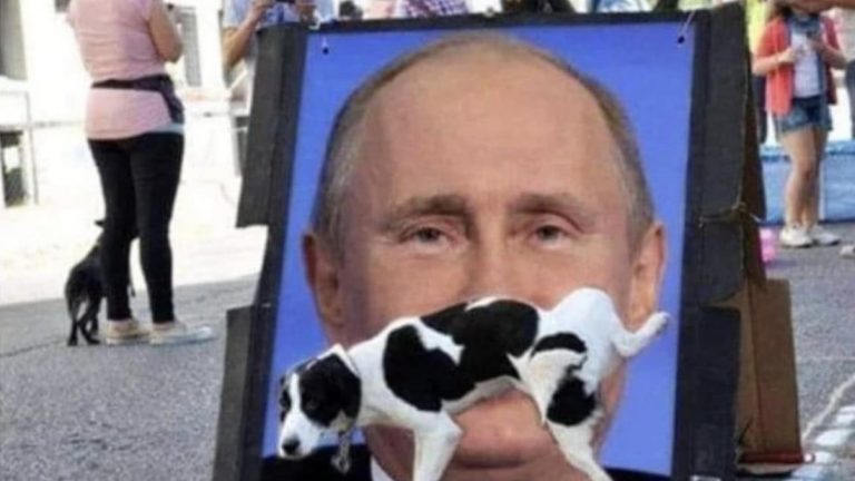 Dog peeing on Vladimir Putin's face