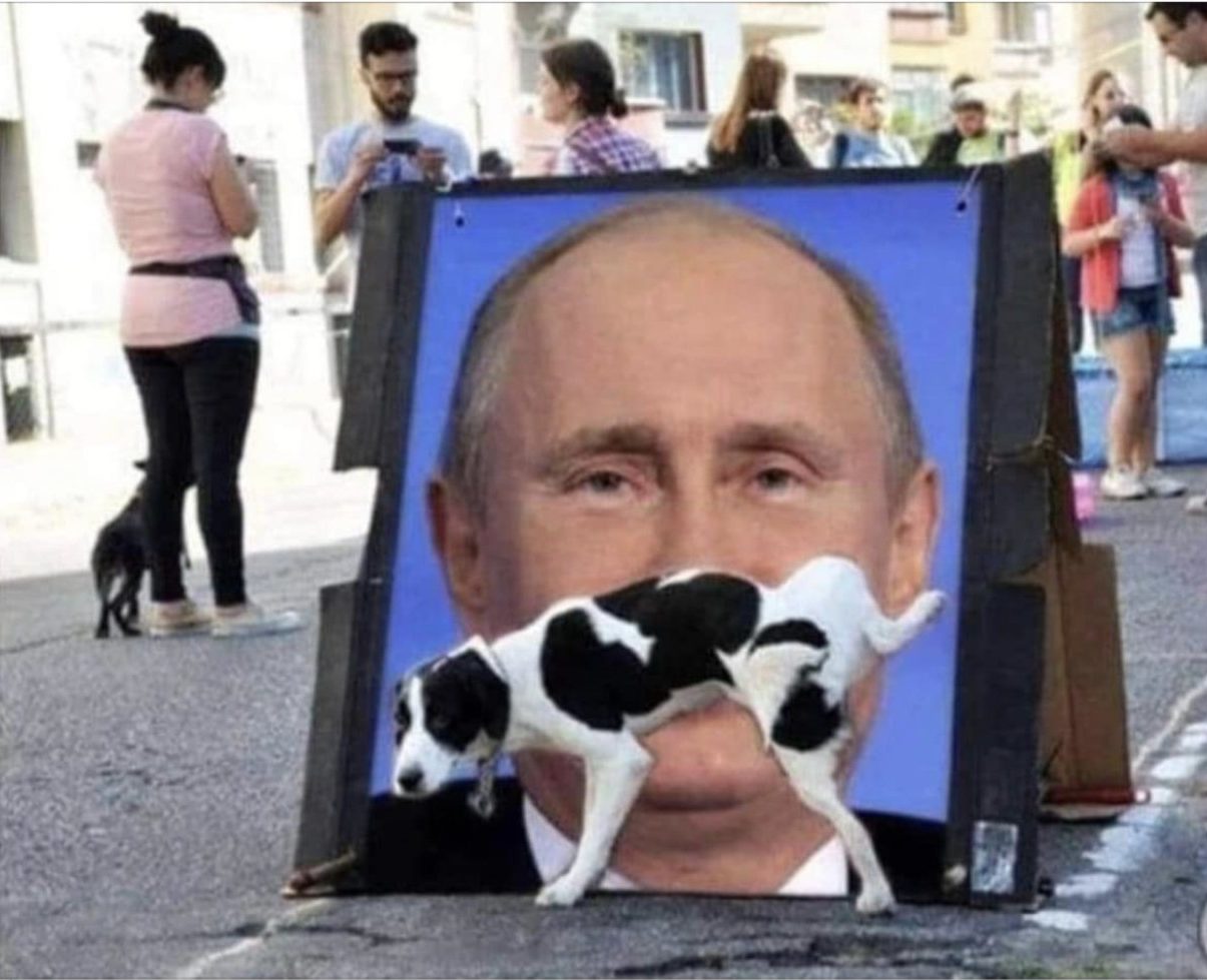 Dog peeing on Vladimir Putin's face