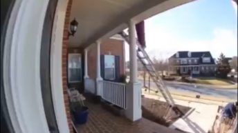 Woman falls off ladder while on side of house
