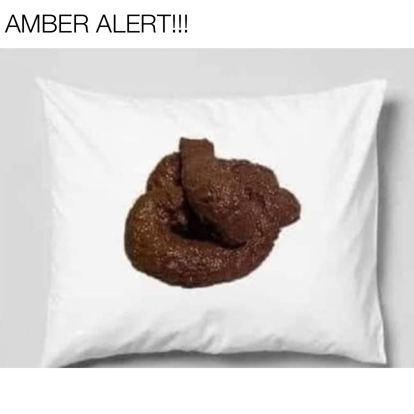 Amber alert Amber Heard poop meme